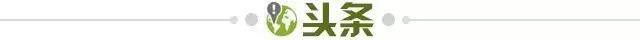 B体育-【早报】熟悉的抢点得分！武磊破342天留洋球荒！